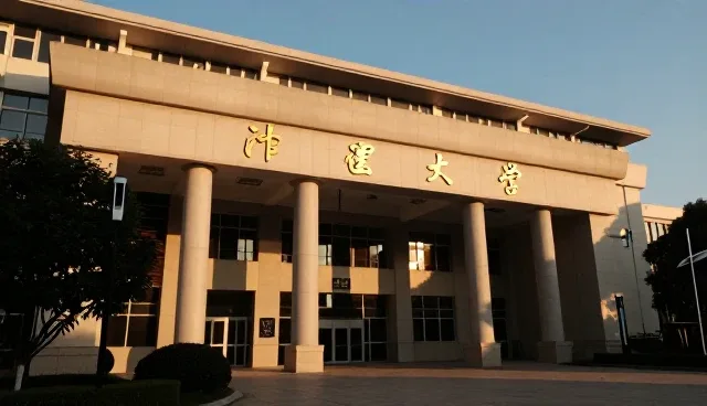 技术顾问服务适用场景与限制分析